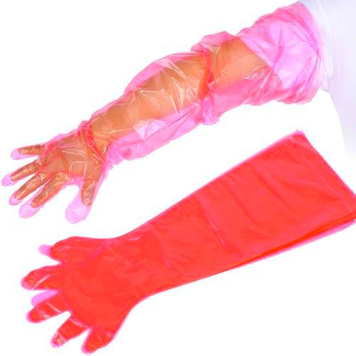 Guantes veterinarios, 30 Uds Extremadamente Elásticos Guantes de Plástico Suave