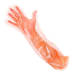 García de Pou 155.22 Guantes Largos, 55 cm, Translúcido